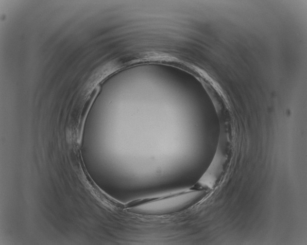 X0000084521281200703091552