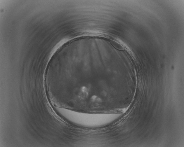 X0000084521283200703091552