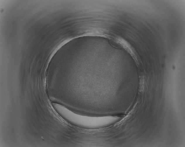 X0000084521284200703091552