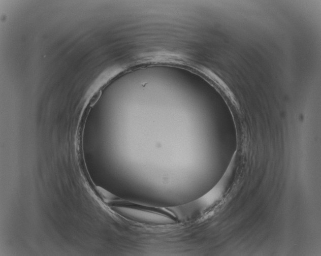 X0000084521285200703091552