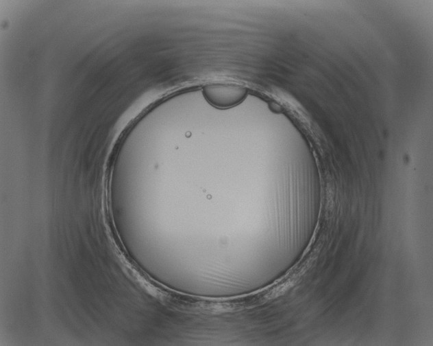 X0000084521286200703091552