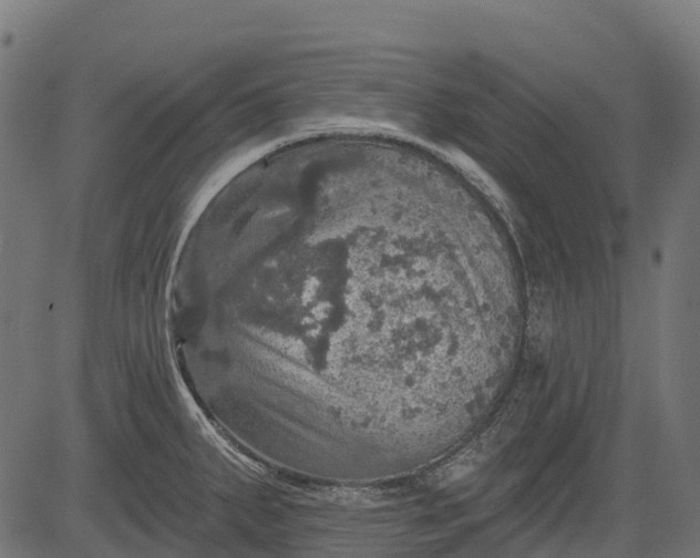 X0000084521287200703091552