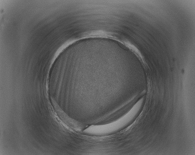 X0000084521288200703091552