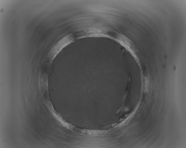 X0000084521289200703091552