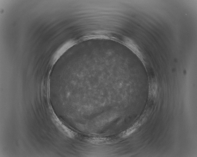 X0000084521290200703091552