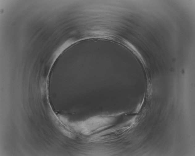 X0000084521291200703091552