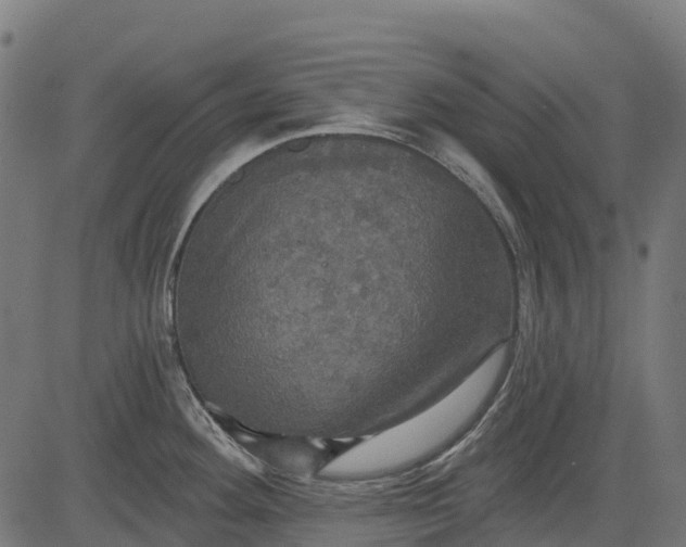 X0000084521292200703091552