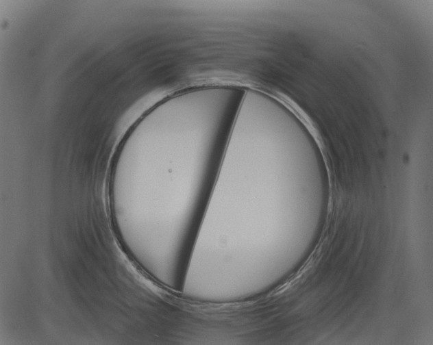 X0000084521293200703091552