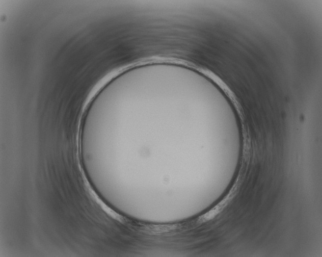 X0000084521294200703091552