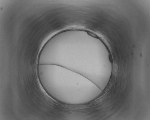 X0000084521295200703091552