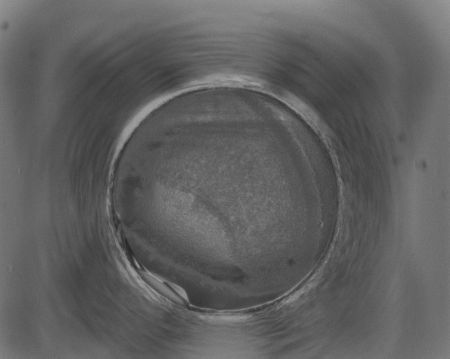 X0000084521296200703091552