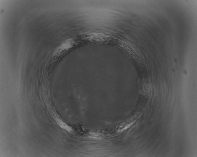 X0000084521297200703091551