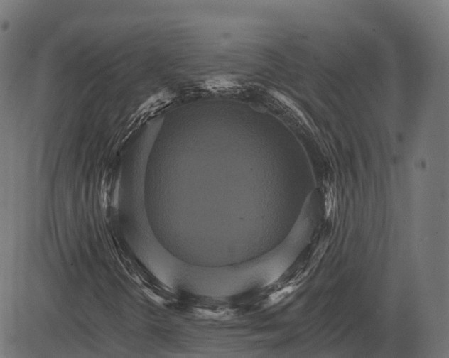 X0000084521298200703091551