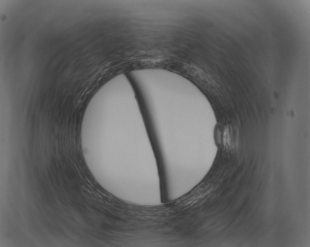 X0000084521299200703091551