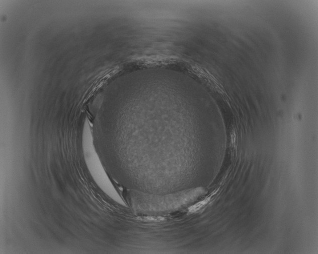 X0000084521300200703091551