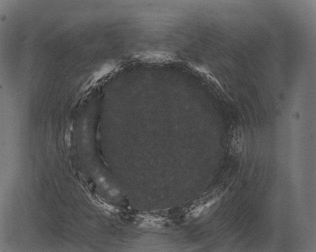 X0000084521301200703091551