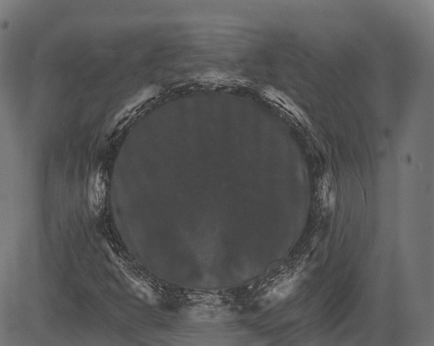 X0000084521302200703091551