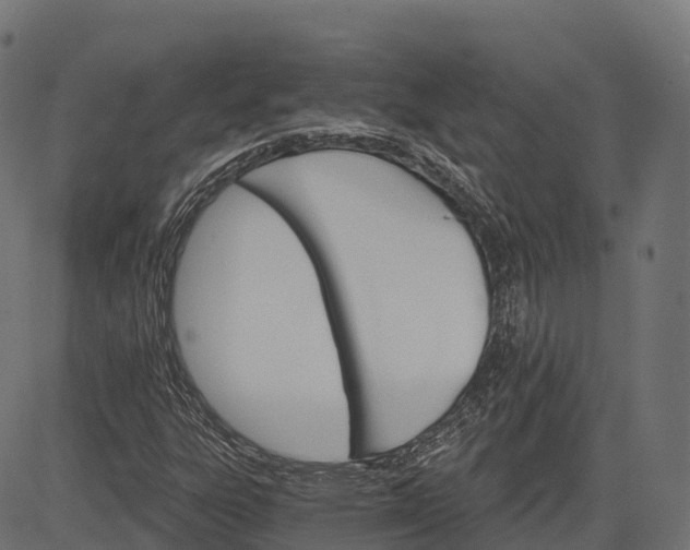 X0000084521303200703091551