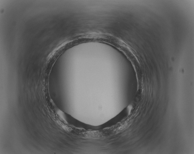 X0000084521304200703091551