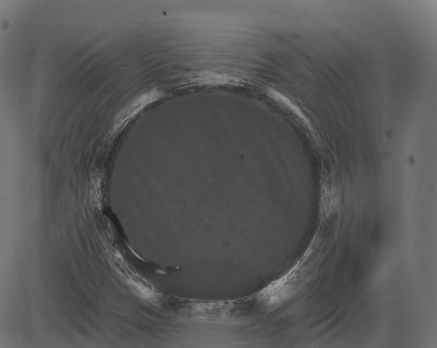 X0000084521305200703091551