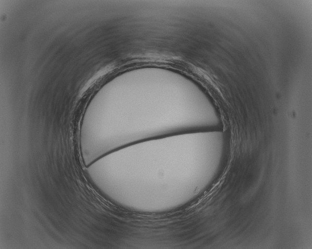 X0000084521307200703091551