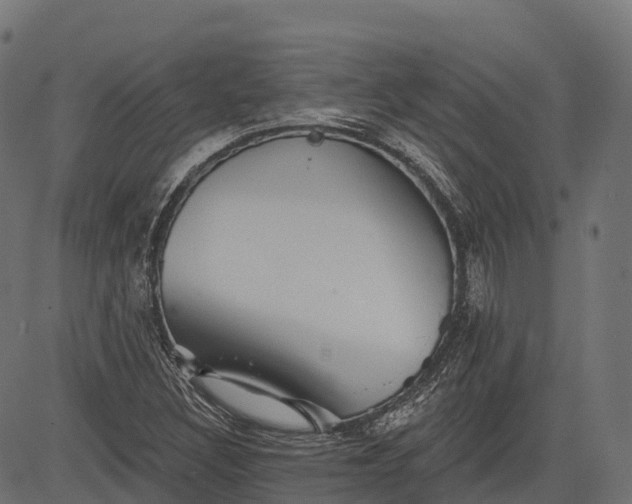 X0000084521308200703091551