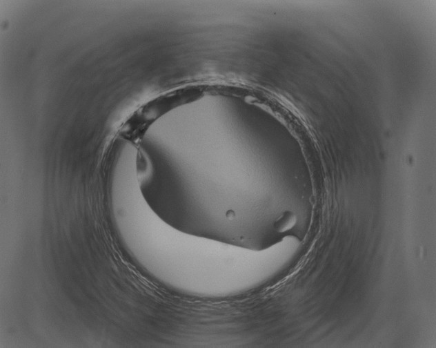 X0000084521310200703091552