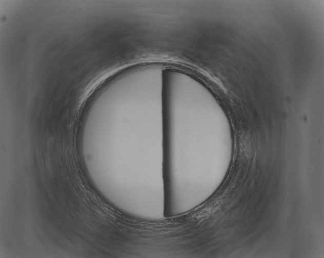 X0000084521311200703091552