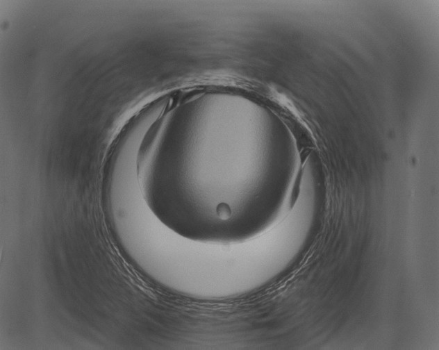 X0000084521312200703091552