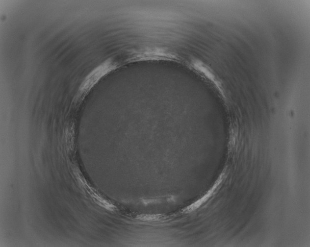 X0000084521313200703091552