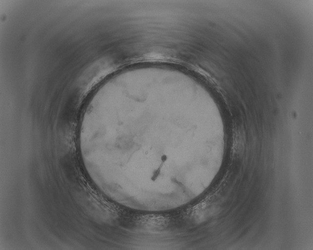 X0000084521314200703091552