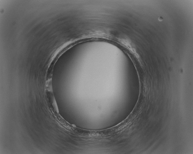 X0000084521316200703091552