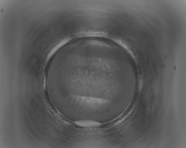 X0000084521317200703091552