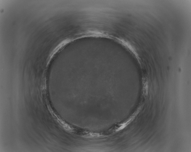 X0000084521318200703091552