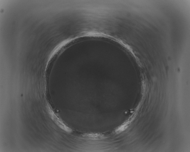 X0000084521319200703091552