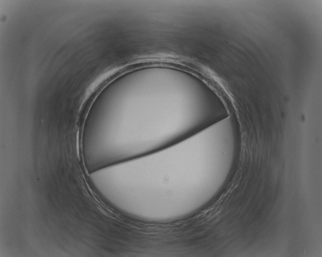 X0000084521320200703091552