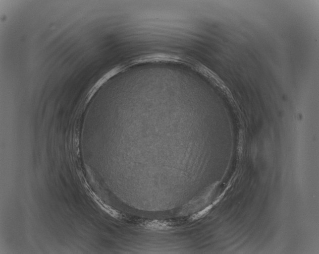 X0000084521321200703091552