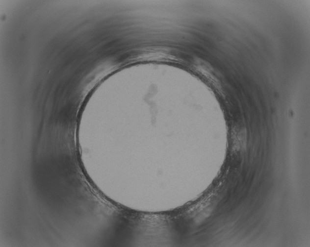 X0000084521322200703091552