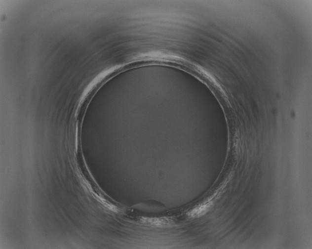 X0000084521323200703091552