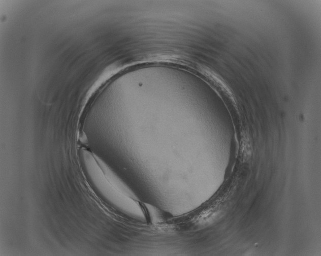 X0000084521324200703091552