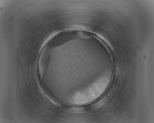 X0000084521325200703091552