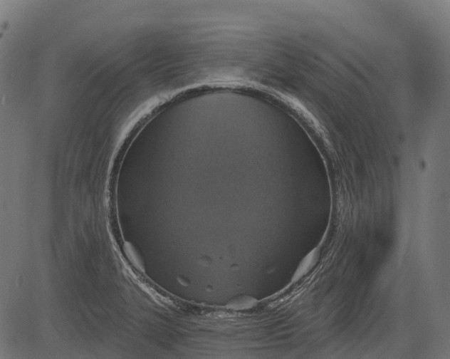 X0000084521327200703091552