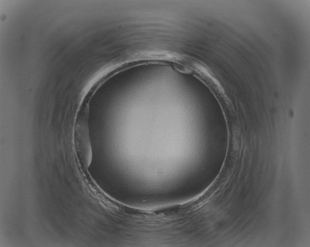 X0000084521328200703091552