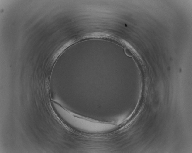 X0000084521329200703091552