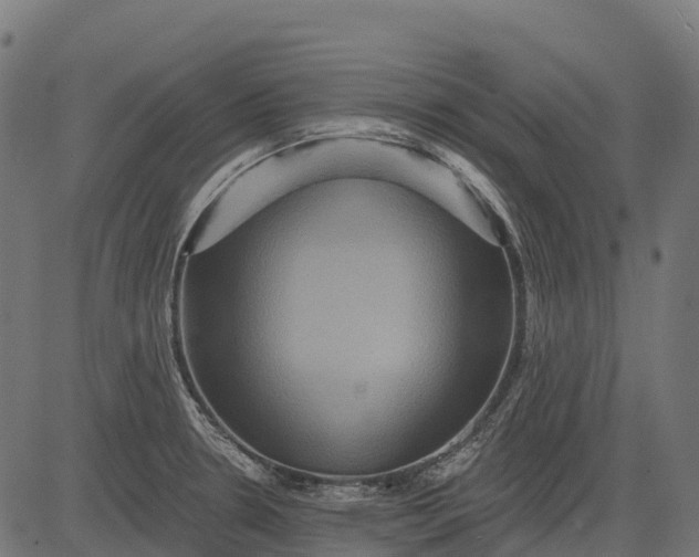 X0000084521330200703091552