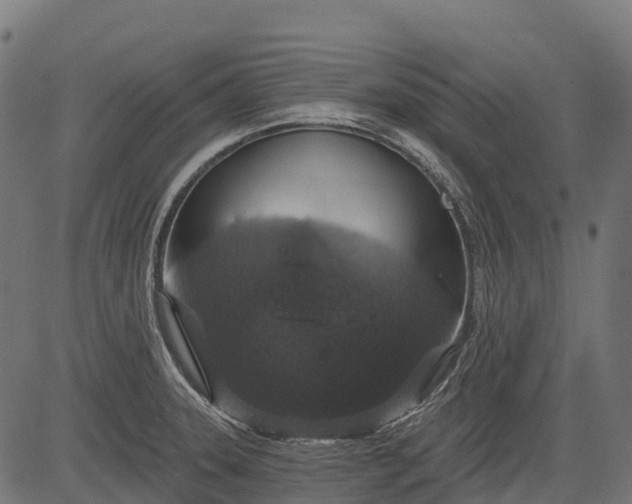 X0000084521331200703091552