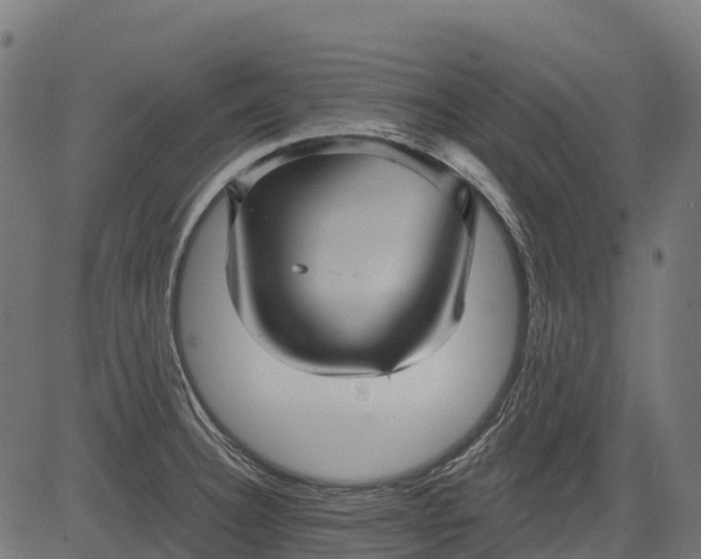 X0000084521332200703091552