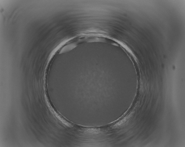 X0000084521333200703091552