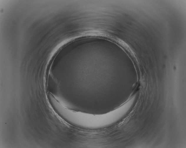 X0000084521334200703091552