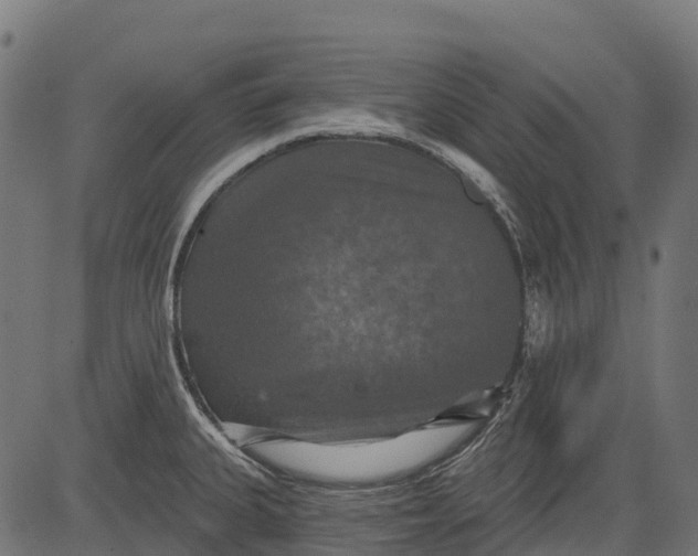 X0000084521335200703091552